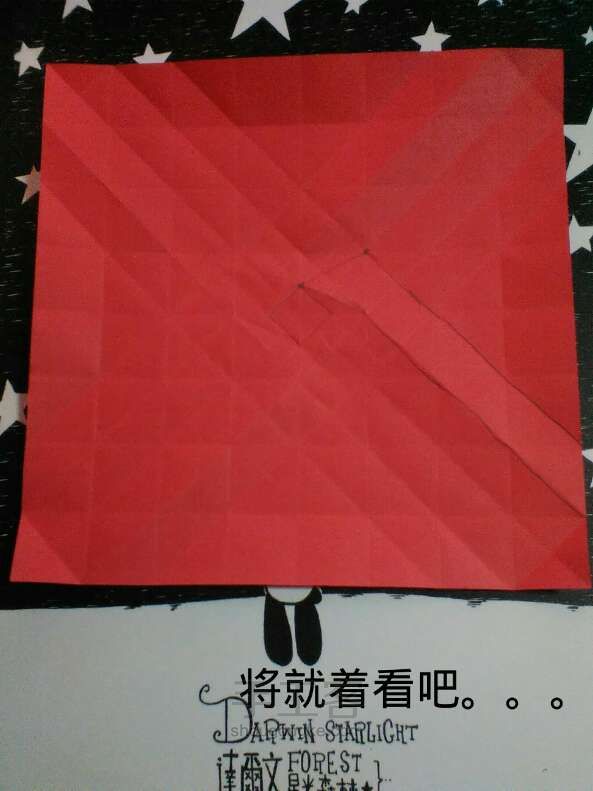 韩版纸盒玫瑰 第19步