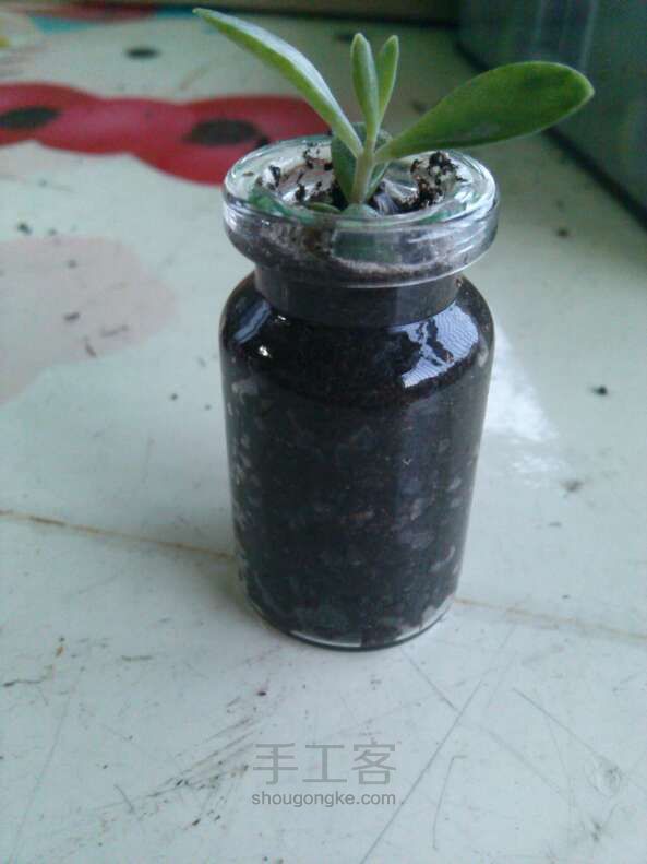 瓶小腻diy教程 第2步