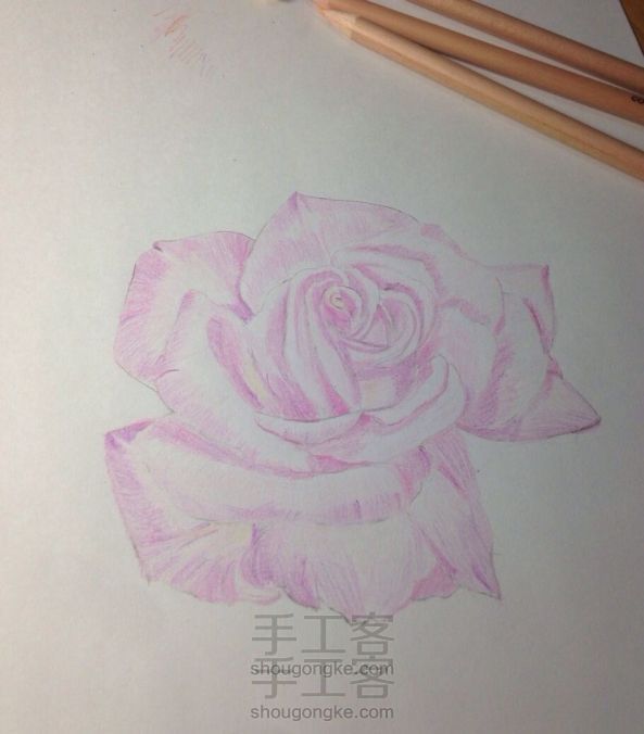 练习rose