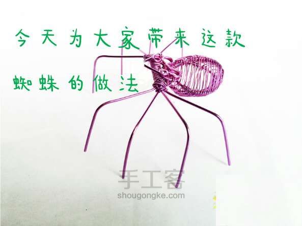 动物蜘蛛铝线的做法 第1步