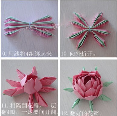 美腻的莲花转载 第3步