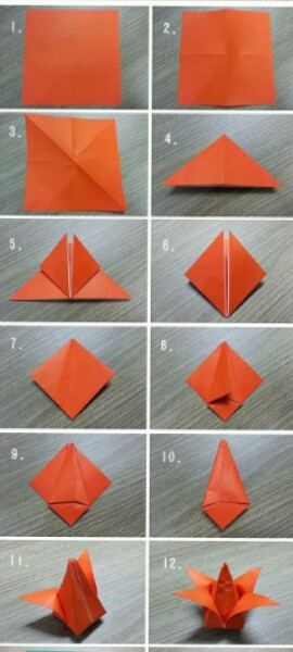 郁金香 折纸教程 第1步