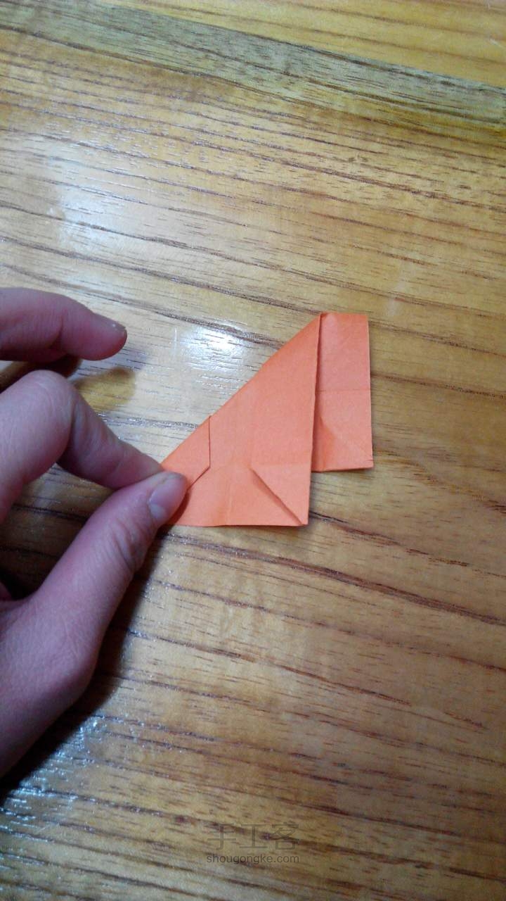 蝴蝶折纸教程 第15步