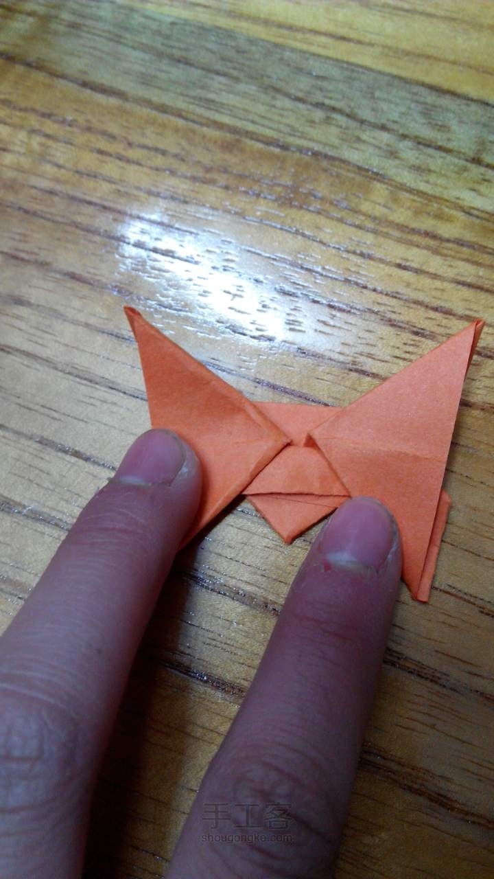 蝴蝶折纸教程 第20步