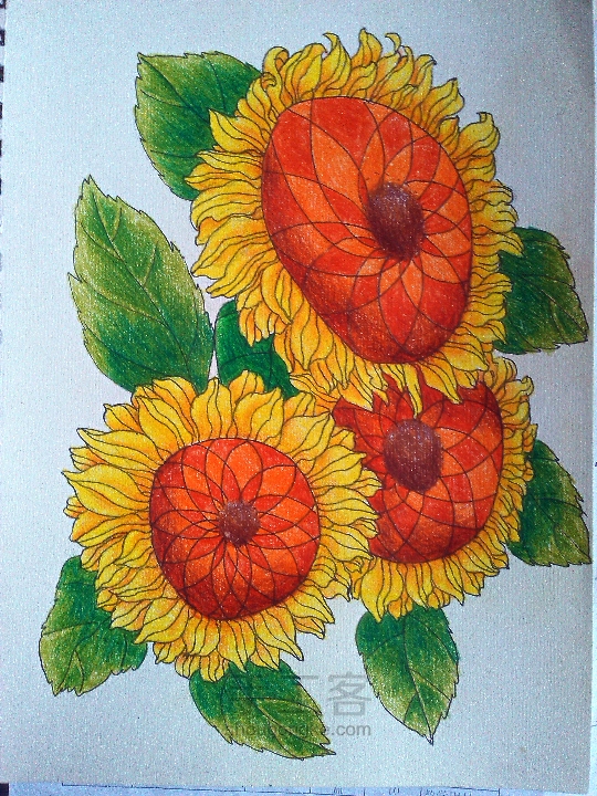 彩铅装饰画向日葵教程 第15步