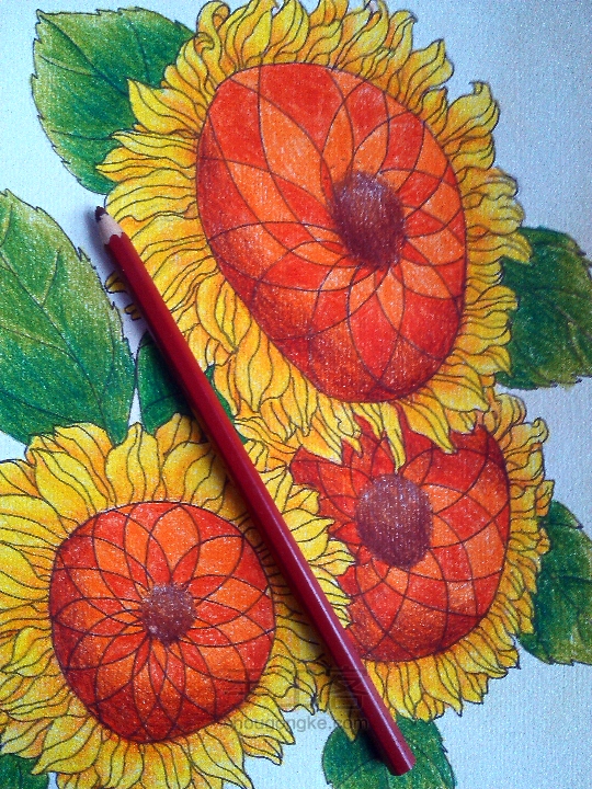 彩铅装饰画向日葵教程 第16步