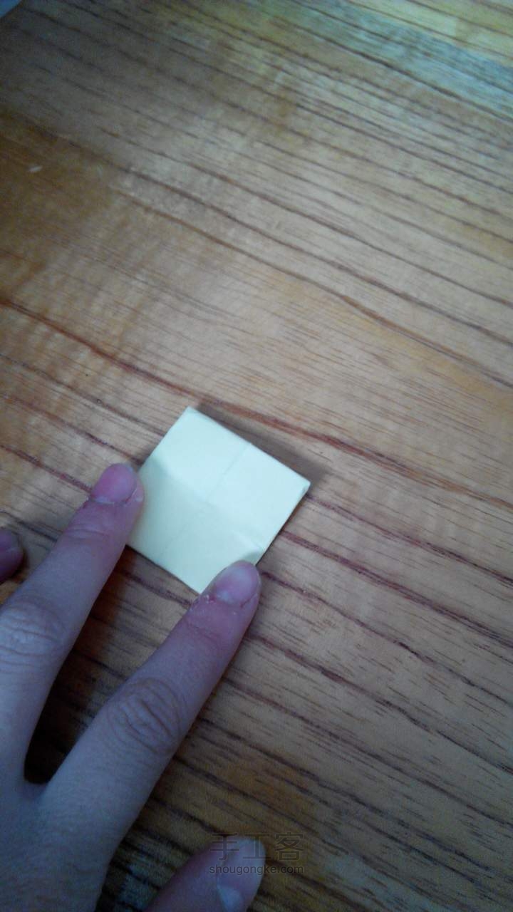 睡莲 折纸教程 第9步