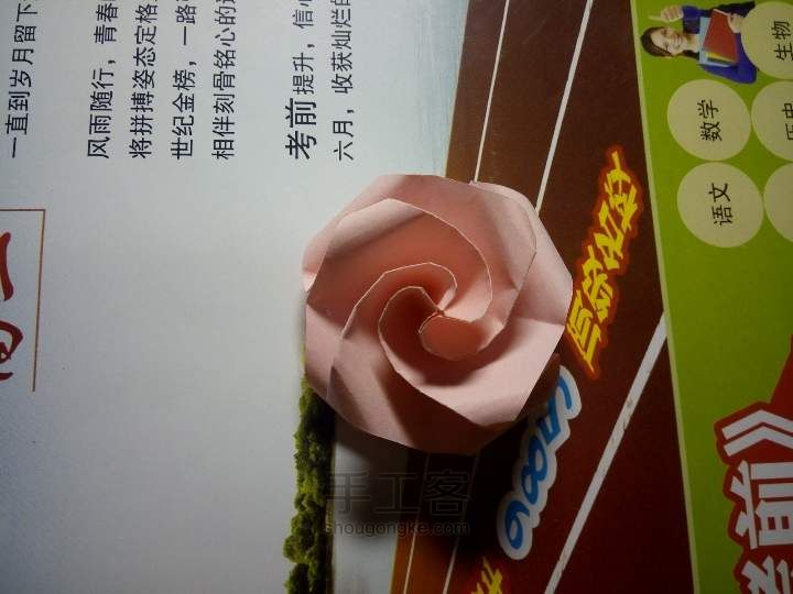 超级简单好看的玫瑰🌹折纸教程 第15步