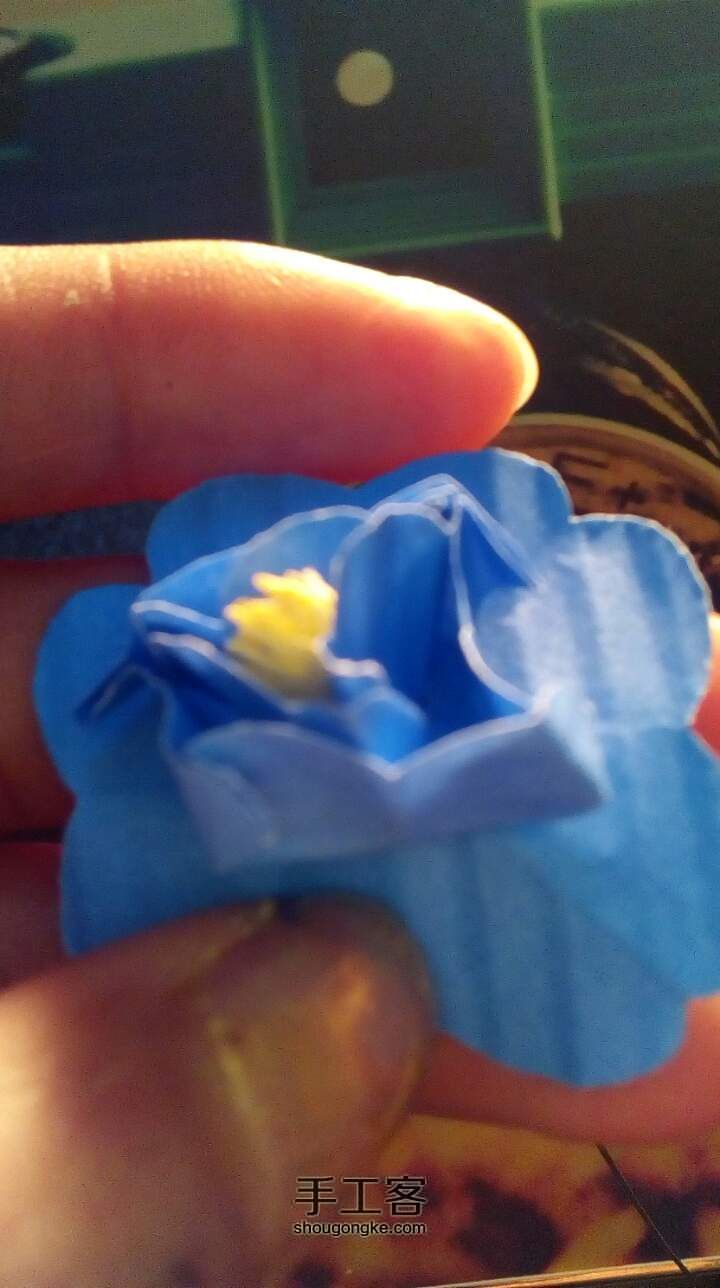 《原创》送给爸妈自创蓝色梦幻花朵教程。 第28步