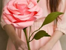 做一朵纸玫瑰，代表自己的心意送给亲爱的她吧   这是自己在网上找的，分享给大家看看~_~