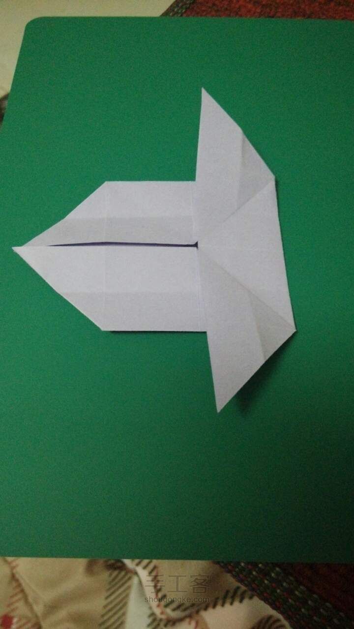 「折纸•凤尾蝶」 第9步