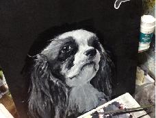 画了一个黑白狗狗，特此献上爱画画的同学