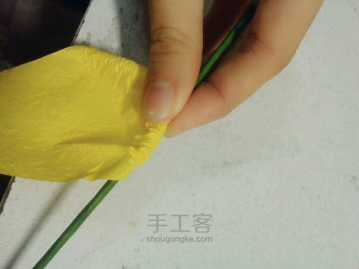 花世界——代表友谊的黄玫瑰制作教程 第2步