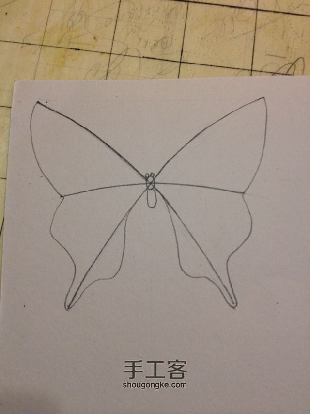 3种蝴蝶，一学就会超容易 手绘教程 第3步