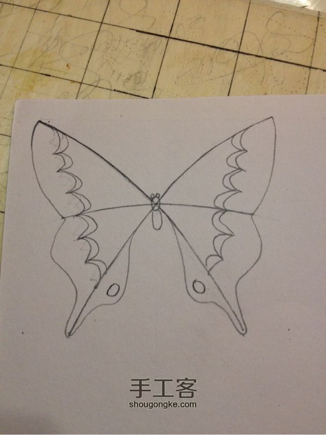 3种蝴蝶，一学就会超容易 手绘教程 第4步