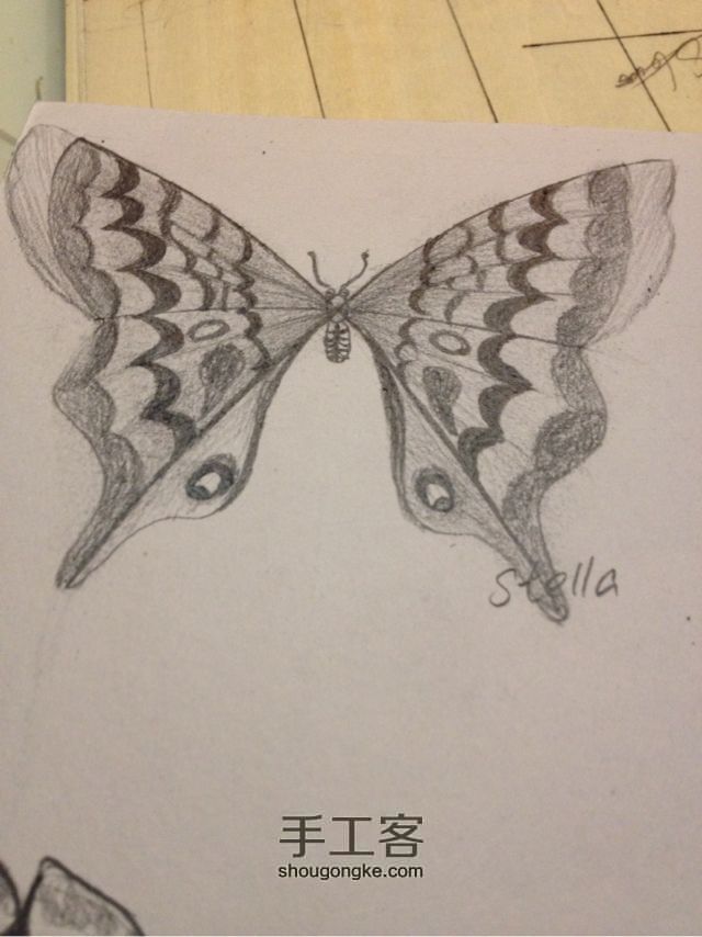 3种蝴蝶，一学就会超容易 手绘教程 第7步