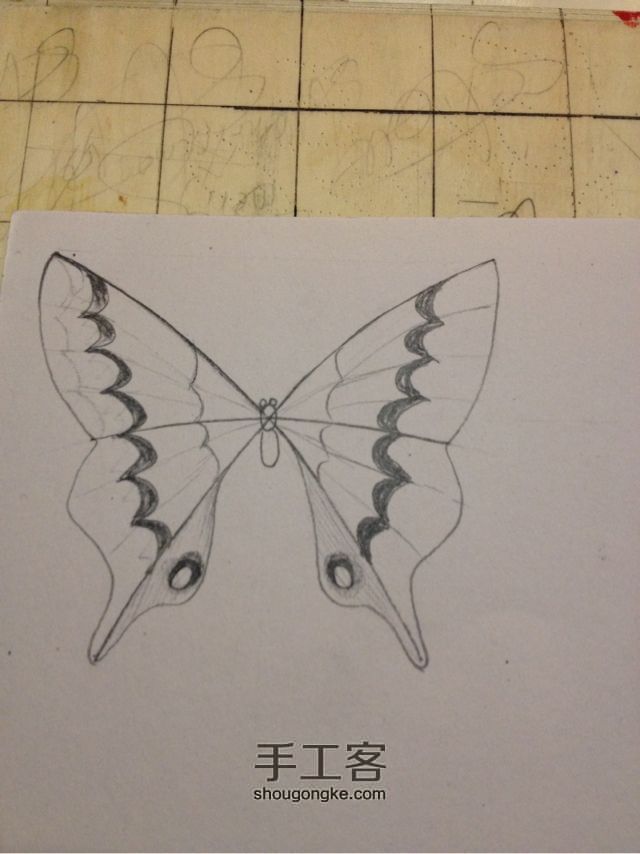 3种蝴蝶，一学就会超容易 手绘教程 第5步