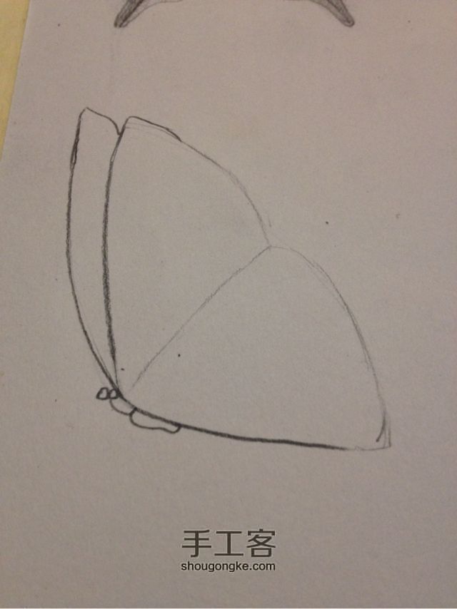 3种蝴蝶，一学就会超容易 手绘教程 第9步