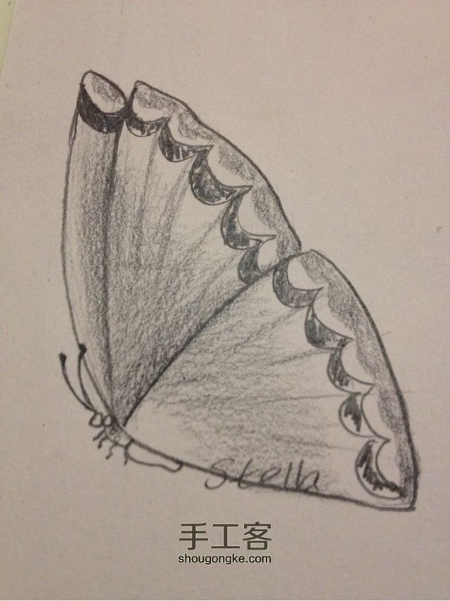 3种蝴蝶，一学就会超容易 手绘教程 第11步