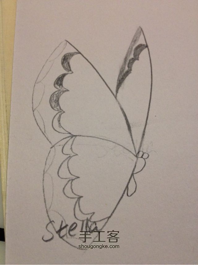 3种蝴蝶，一学就会超容易 手绘教程 第14步
