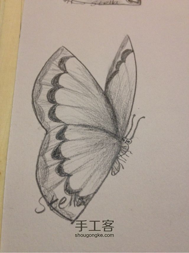 3种蝴蝶，一学就会超容易 手绘教程 第15步