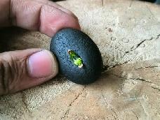 Double Sunshine
泰然、机敏且不失热情，代言幸福

Green stone
绿色的橄榄石被称为太阳宝石
取自中国张家口地区的古火山矿区 

Black stone
黑色多孔的火山岩卵石
取自以阳光海滩著称的夏威夷