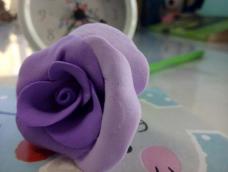 唯美浪漫紫色玫瑰