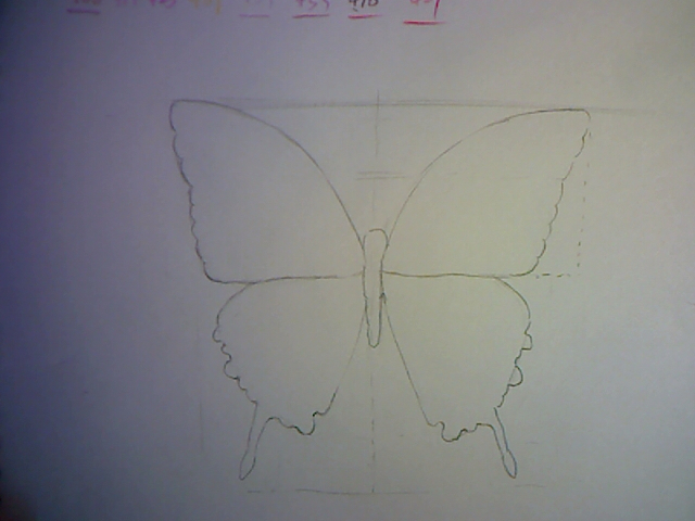 珊瑚绘画课堂_简单学画画之对称的应用--彩铅蝴蝶 第2步