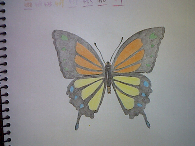 珊瑚绘画课堂_简单学画画之对称的应用--彩铅蝴蝶 第5步