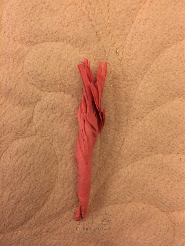 手工纸花 康乃馨制作教程 第13步
