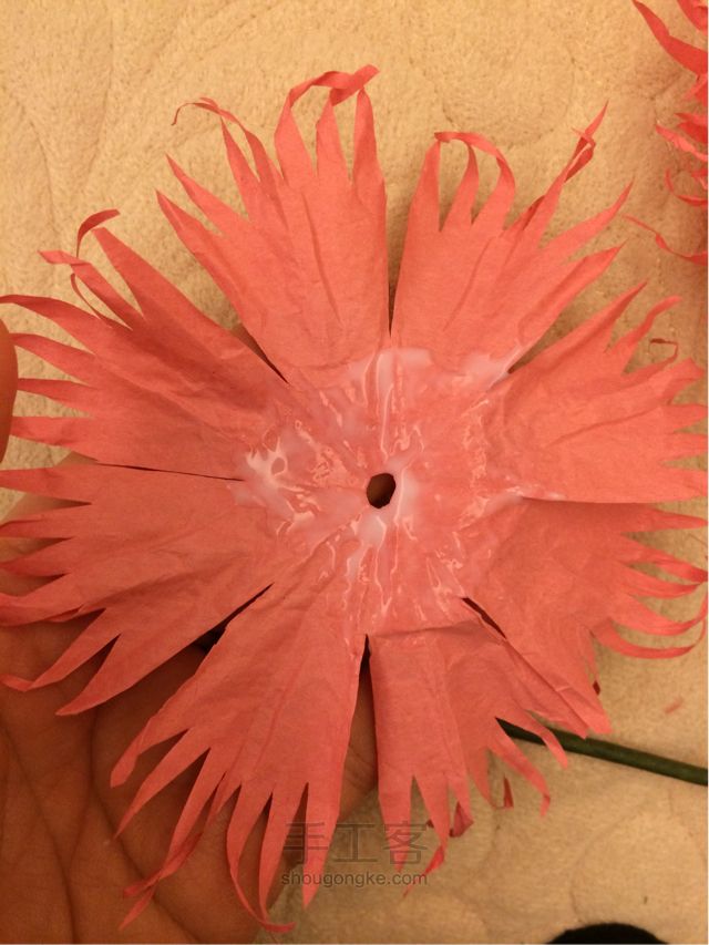 手工纸花 康乃馨制作教程 第19步