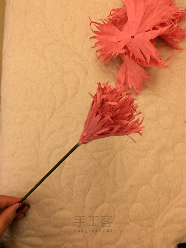 手工纸花 康乃馨制作教程 第20步
