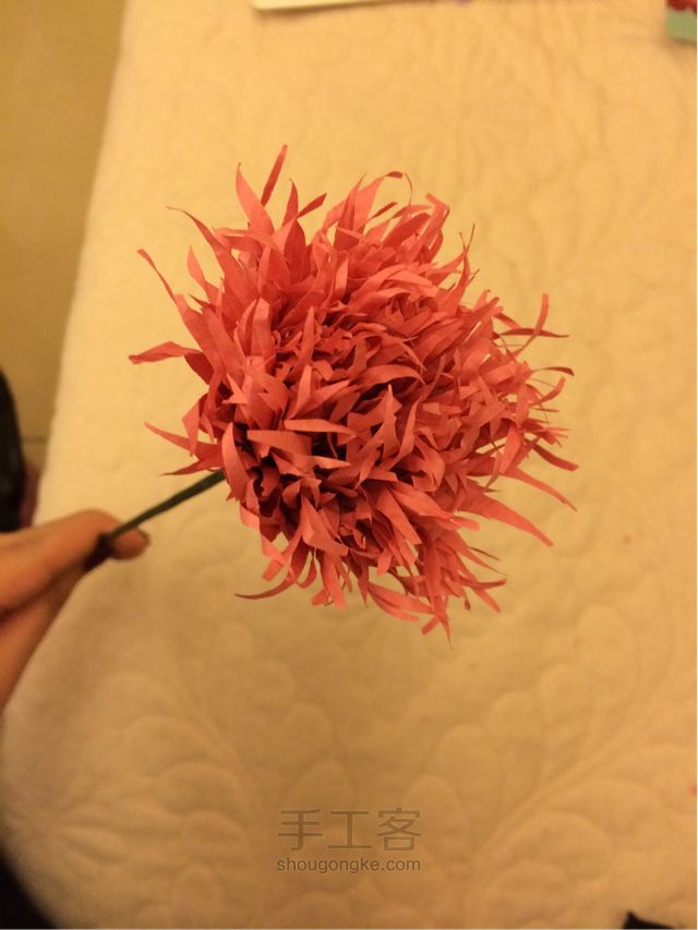 手工纸花 康乃馨制作教程 第21步