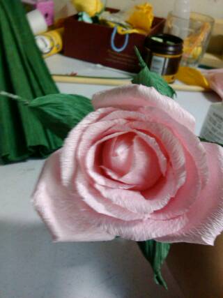 花世界——浪漫的粉玫瑰 第1步