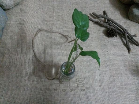 巧用绳结改造旧物教程—让玻璃瓶一秒钟变盆栽吊瓶 第9步
