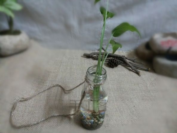 巧用绳结改造旧物教程—让玻璃瓶一秒钟变盆栽吊瓶 第10步