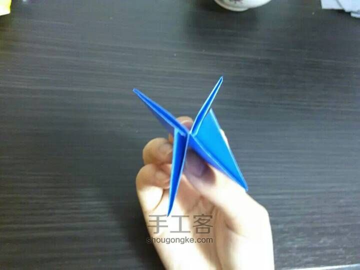 郁金香折法 第10步
