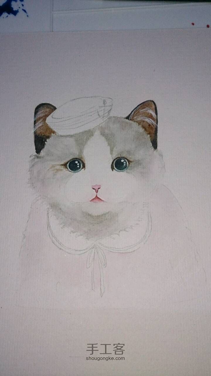 穿海军装的猫 第4步