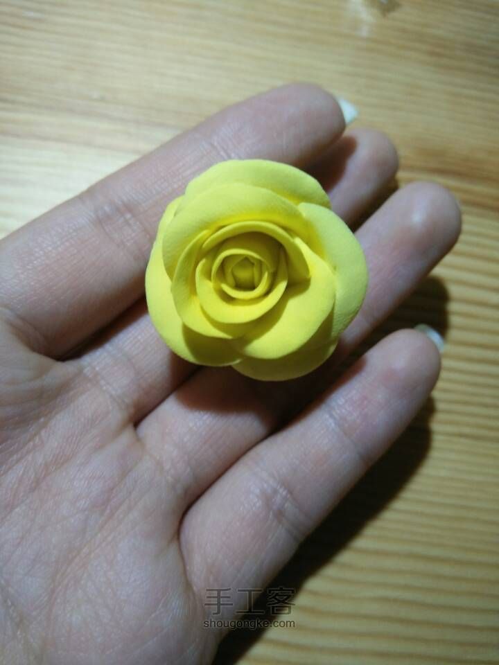 渐变色玫瑰花 制作教程 第9步