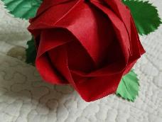 这个季节，大家都在晒自己折的川绮玫瑰，今天发个教程，教大家把玫瑰长在枝头，做成插花作品。情人节的时候，你可以送岀不一样的礼物噢！