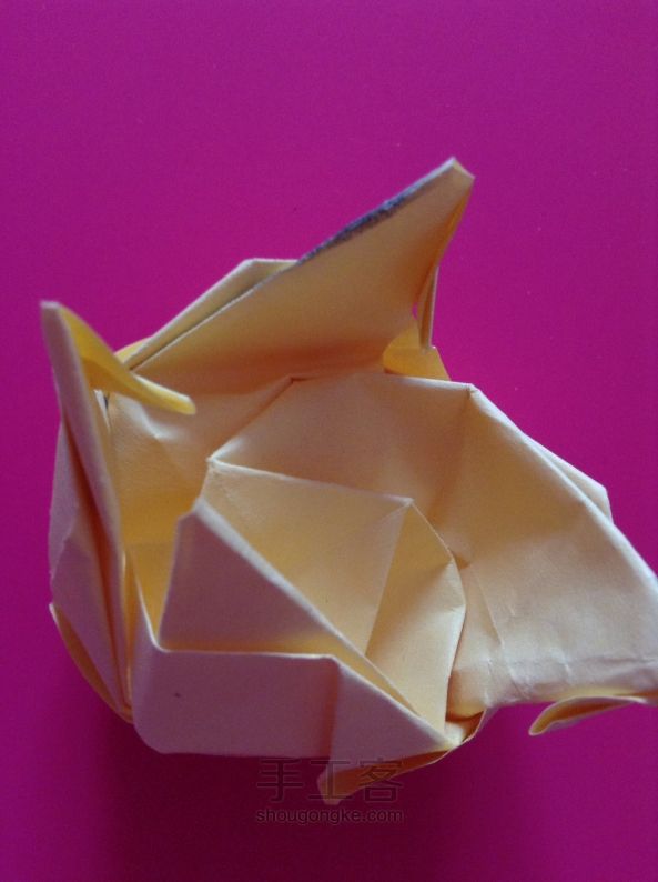 川崎玫瑰🌹折纸教程 第21步