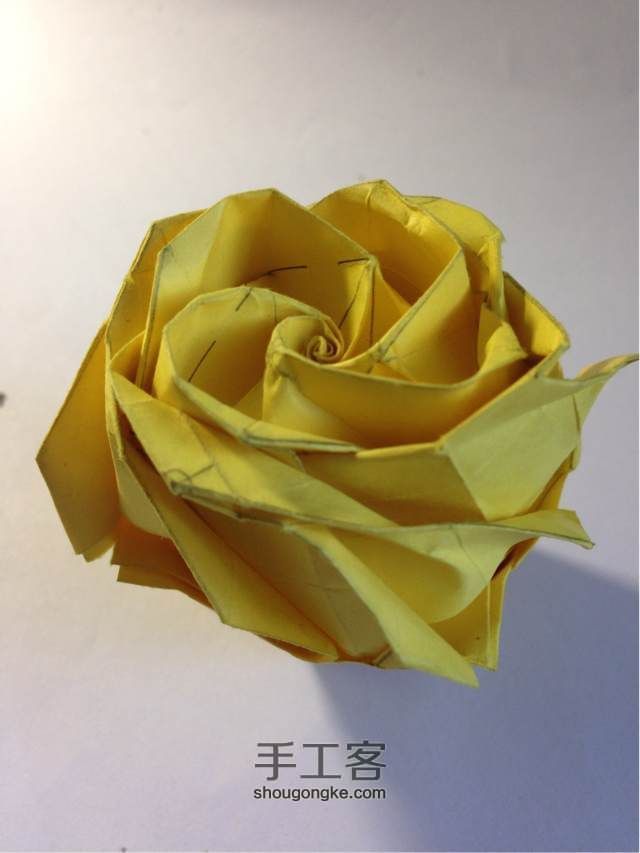 折纸贝利尔玫瑰🌹so easy！ 第23步
