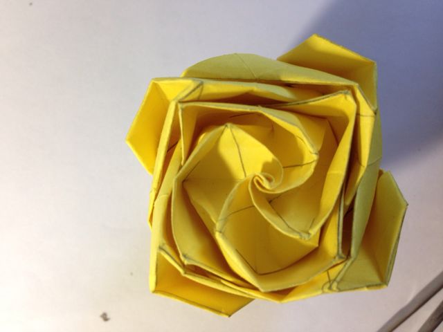 折纸贝利尔玫瑰🌹so easy！ 第22步