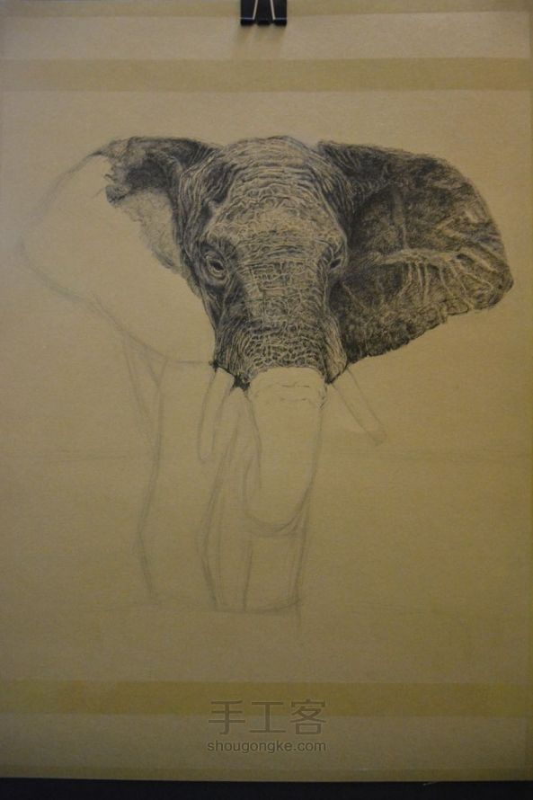 细腻钢笔画教程—大象 第6步