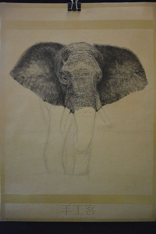 细腻钢笔画教程—大象 第7步