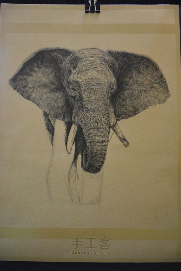 细腻钢笔画教程—大象 第8步