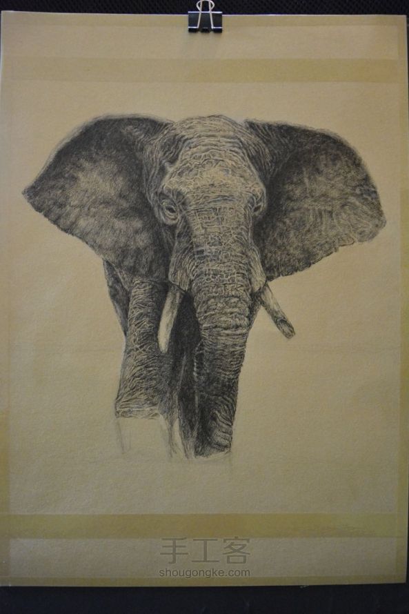 细腻钢笔画教程—大象 第10步