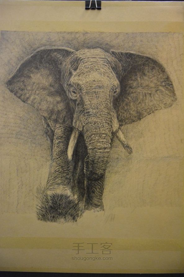 细腻钢笔画教程—大象 第11步