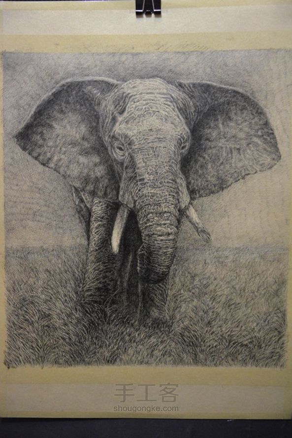 细腻钢笔画教程—大象 第12步
