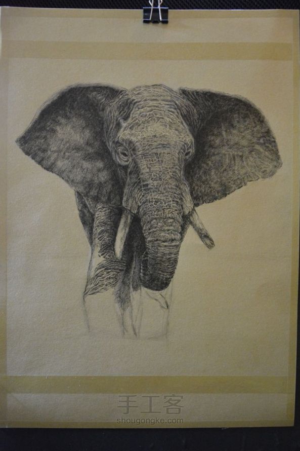 细腻钢笔画教程—大象 第9步